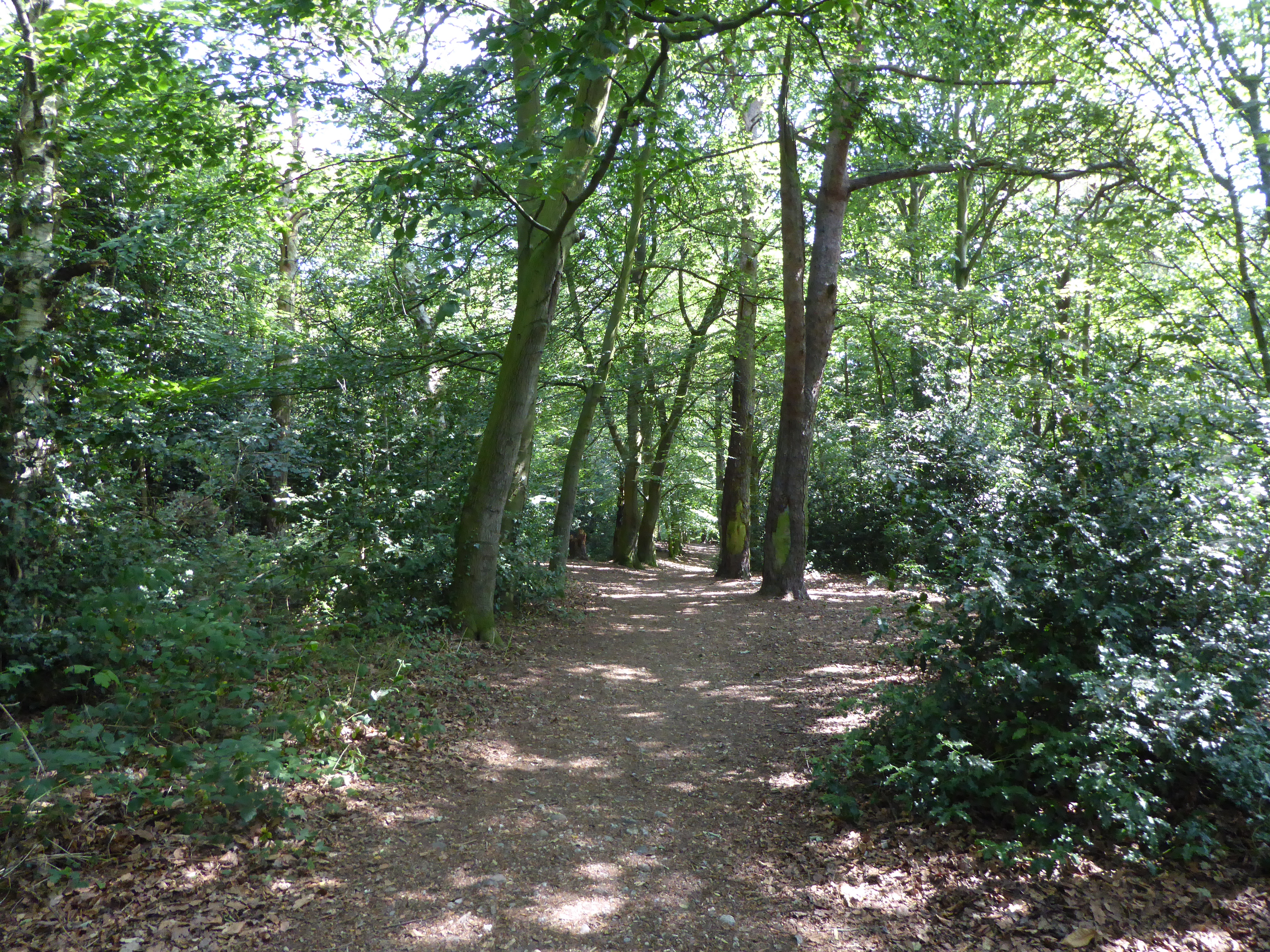 New plans to protect and restore natural habitats