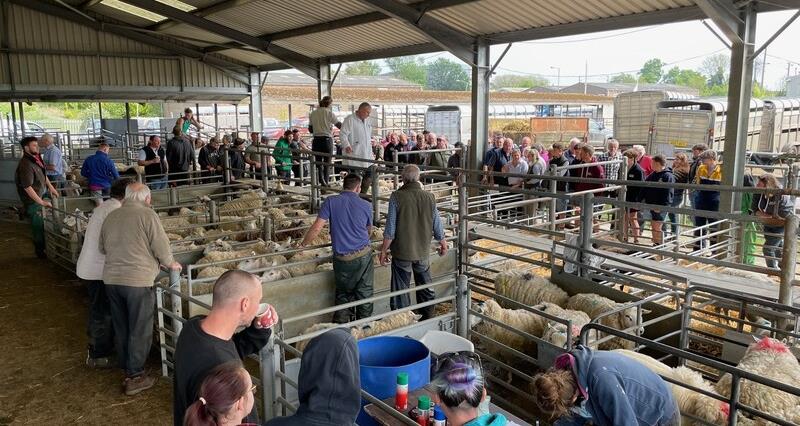 Redevelopment plans for Norwich Livestock Market