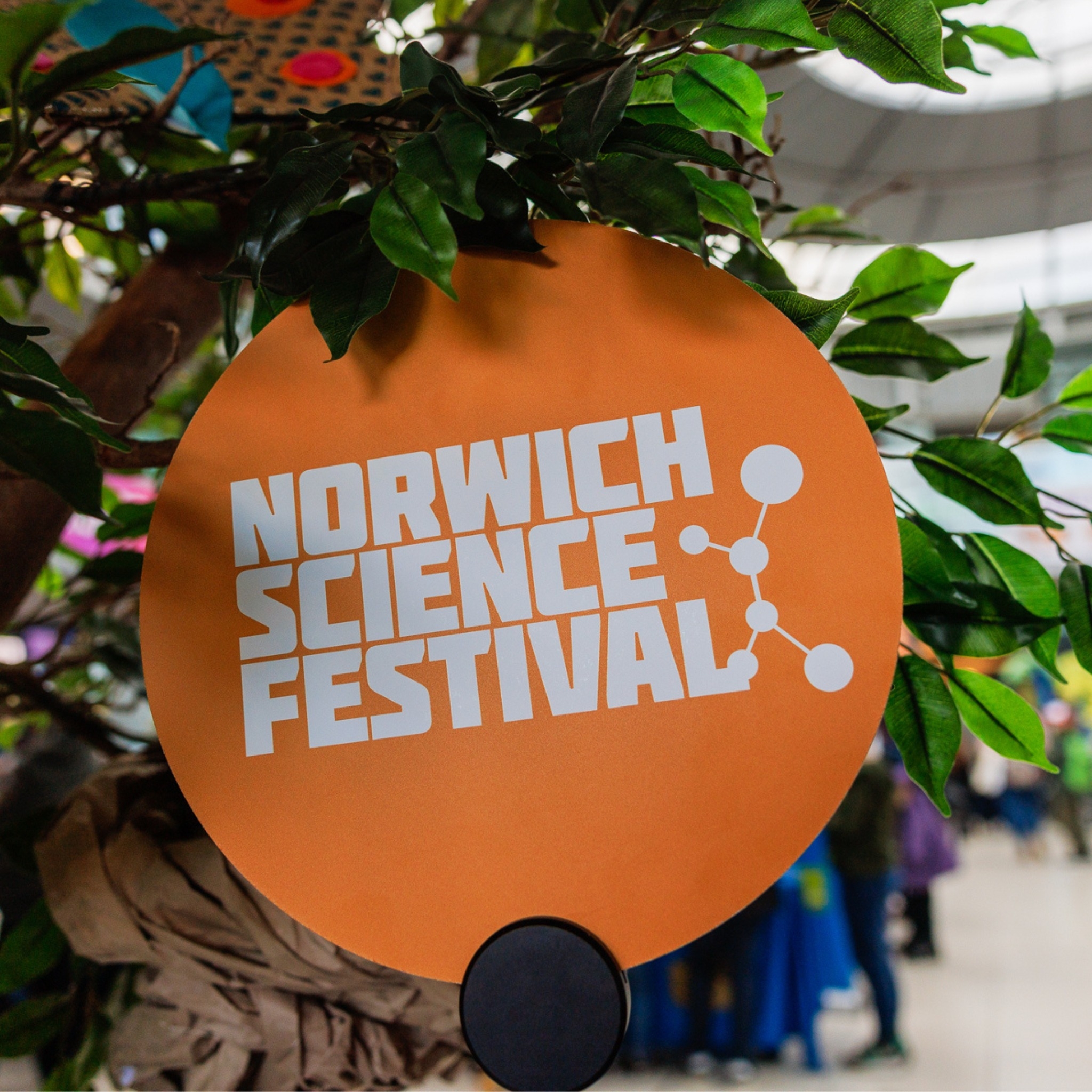Norwich Science Festival to return in 2026
