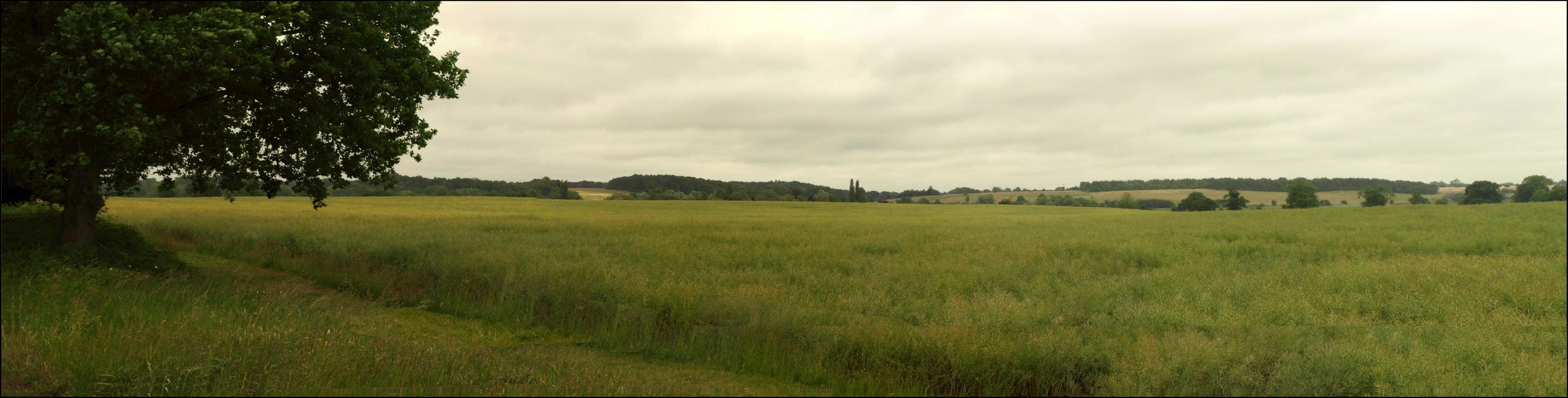Works starts at Three Bridges solar farm near Dereham