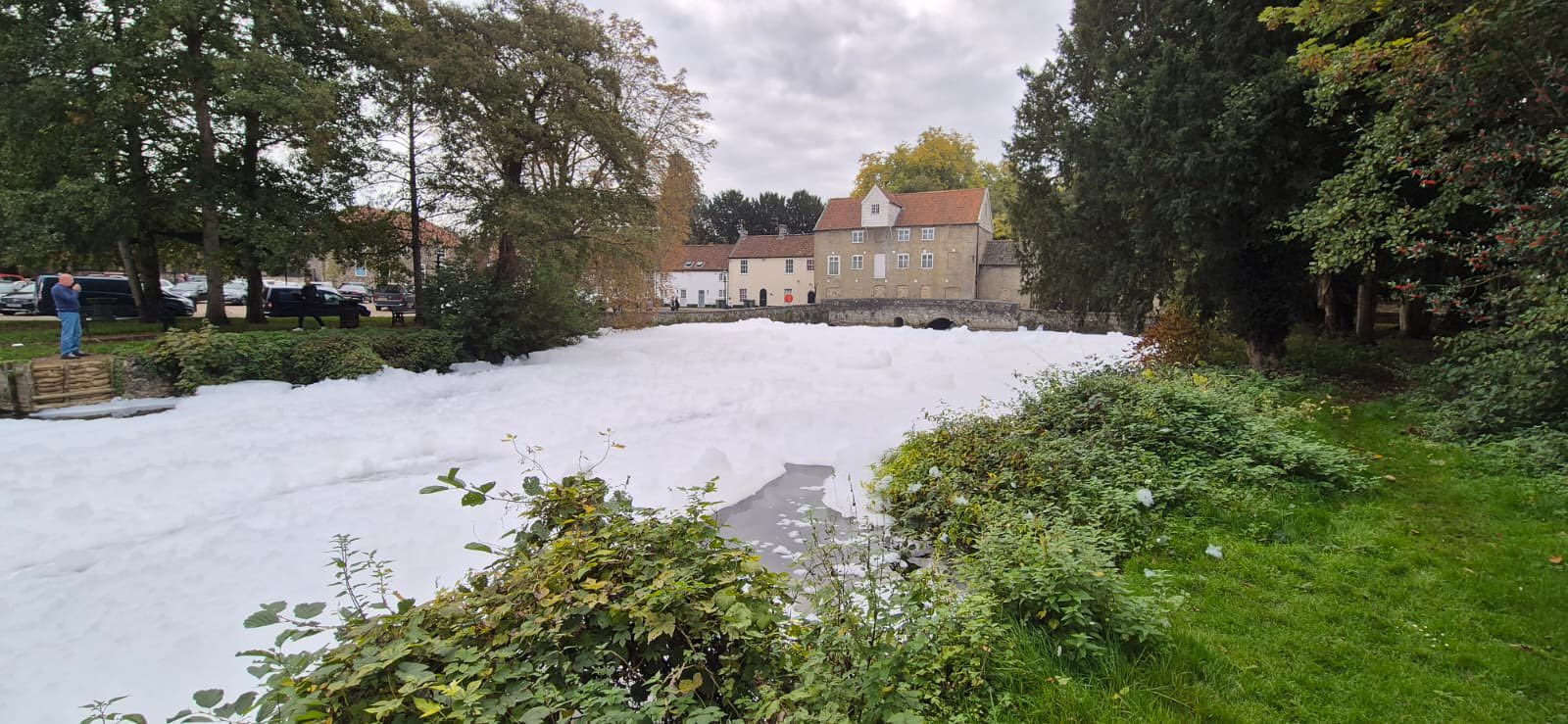 New fish for the River Thet after pollution